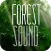 Forest Sound for Sleep and Meditation
