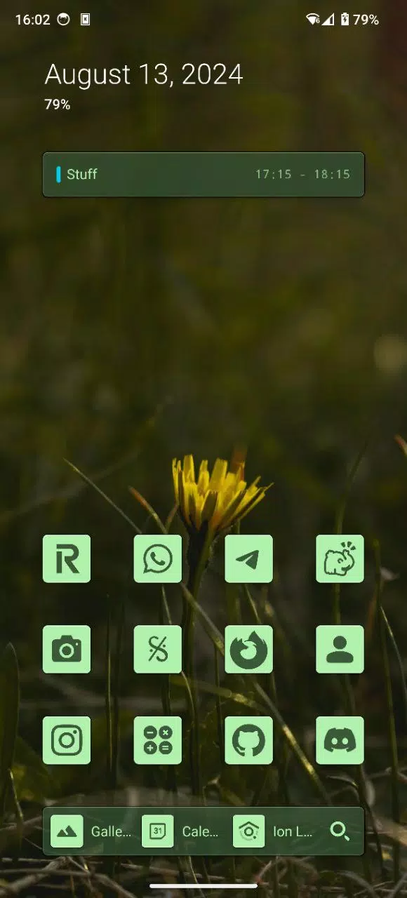 Ion Launcher Screenshots