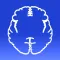 Oracle of Neurology and Neurosurgery
