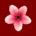 Flower Chat