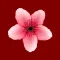 Flower Chat