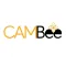 CamBee