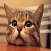 Small Kitty