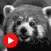 Sandbox Streams