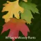 Key to Woody Plants of Wisconsin Forests