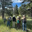 Bird Count