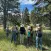 Bird Count