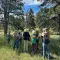 Bird Count