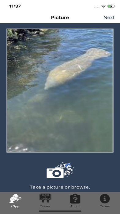 I Spy a Manatee Screenshots
