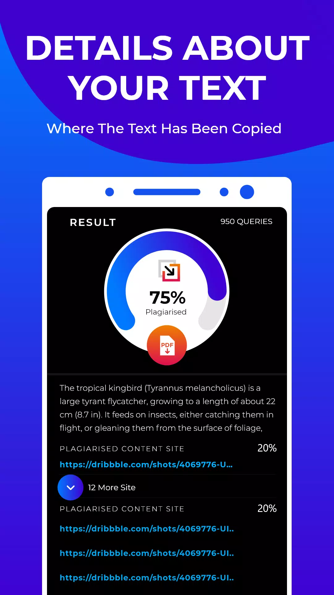 Plagiarism Checker Screenshots