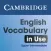 Vocabulary in Use Upper Int