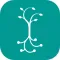 Carnegie Foundation Summit