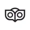 OwlFactor News Evaluator