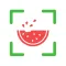 NutriPic: AI Calorie Counter