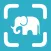 Animal Identifier & Animal id