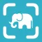 Animal Identifier & Animal id