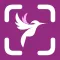 Bird Identifier & Bird AI Id
