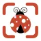 Bug Identifier & Insect Id