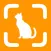 Cat Breed Identifier!