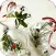 DIY Christmas Decorations