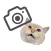 CatCamera - Recognize cat