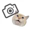 CatCamera - Recognize cat