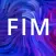 FIM-15