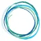 D-Life Diabetes NSW App