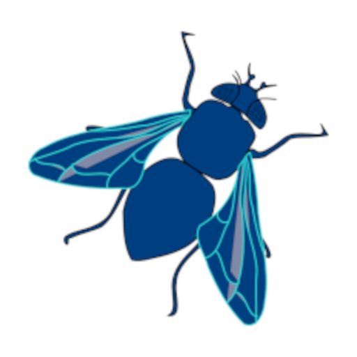 Fly Swatter