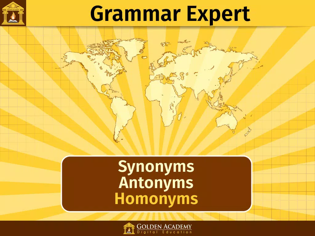Grammar Expert: Synonyms, Antonyms and Homonyms FREE iPad Screenshots