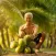 Coconut Plantation