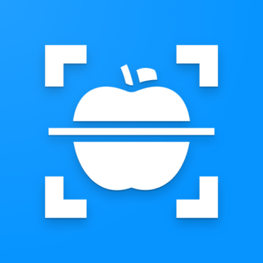 Object Detection