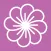 Camellia Cohort