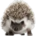 Hedgehog