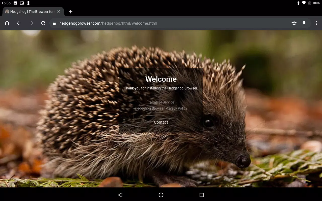 Hedgehog Screenshots