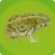 Amphibians of Utah