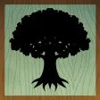 Evertree Inn