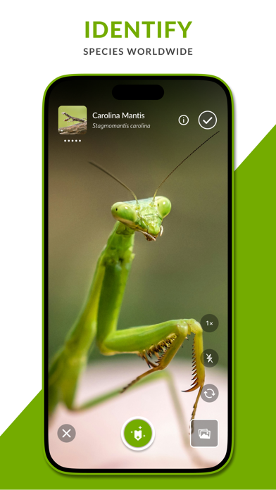 iNaturalist Next سکرین شاٹس