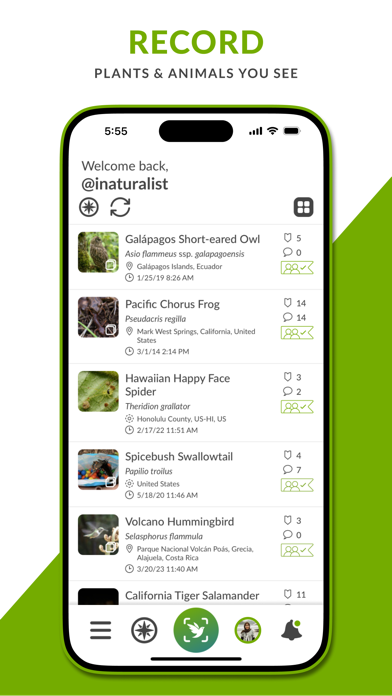 iNaturalist Next سکرین شاٹس
