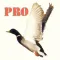 Duck Hunting Pro