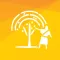 Tree of Life AR