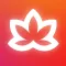 Meditative Mind: Sleep Sounds