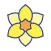 Daffodil Race