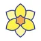 Daffodil Race