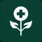 Herbal Remedies Doctor