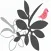 PrimeDesign