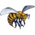 Let's GO Hornets Events