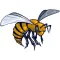 Let's GO Hornets Events