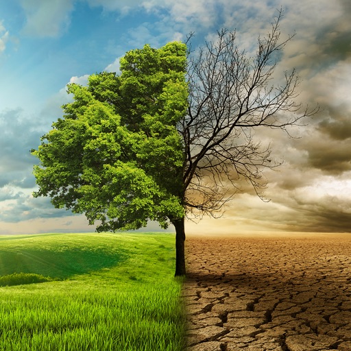 Choose Your Future Choose Your Future