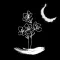 Perfect Image Design&Decorate